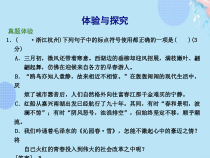 精品九年级中考专题复习标点符号课件PPT资料
