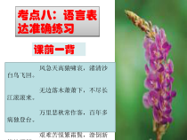 考点八语言表达准确练习课件