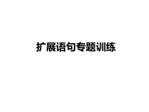 扩展语句专题训课件