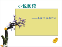 小说艺术技巧之叙事艺术课件
