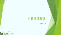 小说文本解读詹丹老师课件