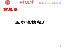 压水堆核电厂先进核反应堆结构原理课件