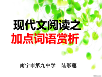 中考复习现代文阅读之加点词语赏析课件
