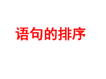 中考复习专题排序题.课件
