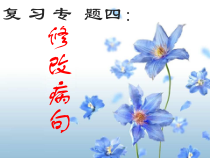 中考复习专题修改病句课件-