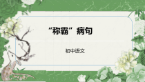 中考专题复习之病句讲解课件