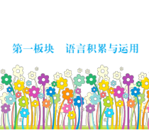 中考语文总复习专题八综合性学习课件