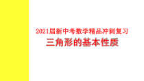 2021届新中考数学冲刺复习-三角形的基本性质课件