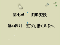 中考数学总复习32-课件