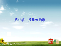中考数学总复习-第13讲-反比例函数课件-新人教版