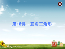 中考数学总复习-第18讲-直角三角形课件