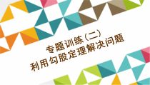 专题训练二-利用勾股定理解决问题-公开课一等奖课件