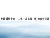 专题训练十六-二元一次方程组的参数问题共11张课件