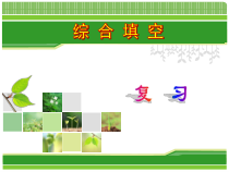 综合填空复习课件