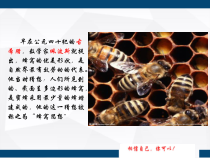 《7.5 多边形的内角和与外角和》PPT课件1-七年级下册数学苏科版