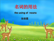 可数名词与不可数名词的用法和练习课件