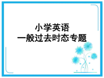 一般过去时-专题讲解课件