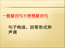 一般疑问句和特殊疑问句课件