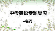 中考英语专题复习-名词30课件