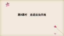 2020中考道德与法治专题复习课件专题8走进法治天地