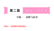 部编版历史中考专题复习课件全套