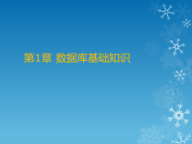 Access数据库应用教程-第1章--数据库基础知识课件