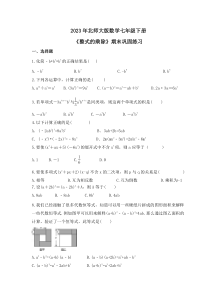 2023年北师大版数学七年级下册《整式的乘除》期末巩固练习（含答案）