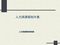 人力资源规划方案