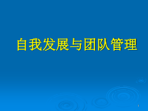 自我发展与团队管理