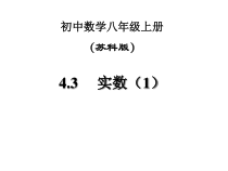 《4.3 实数》PPT课件2-八年级上册数学苏科版