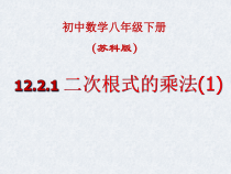 《12.2 二次根式的乘除》PPT课件2-八年级下册数学苏科版