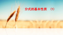 《10.2 分式的基本性质》PPT课件2-八年级下册数学苏科版