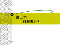 (第五章)财务分析第5章利润表分析