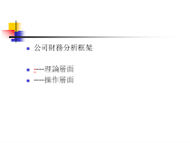 [管理][财务]公司财务分析