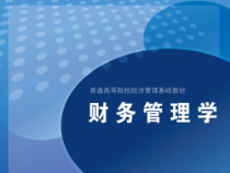 《财务管理学》第9章典型投资决策案例分析