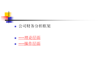 《公司财务分析框架》