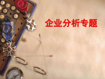 《财务管理学》企业分析