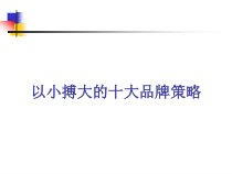 服装企业的十大品牌策略