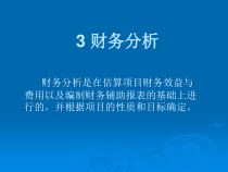 3财务分析
