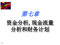 07-资金分析,现金流分析和财务计划