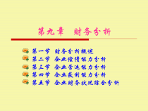 9第九章财务分析