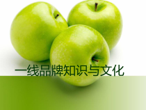 国内外服装品牌知识与文化