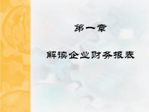 CEO财务分析1