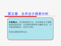 第五章合并会计报表分析