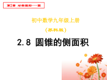 九年级上册数学苏科版（课件22份可预览）