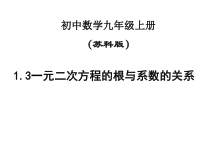 《1.3 一元二次方程的根与系数的关系》PPT课件2-九年级上册数学苏科版