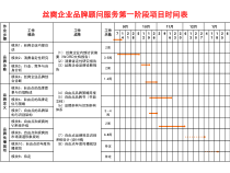 丝爽第一阶段品牌规划工作内容及步骤1224