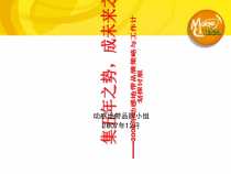 08年动感地带品牌建设工作计划及策略V21