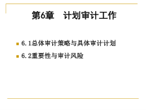 第6章__计划审计工作
