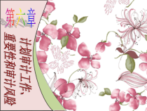 计划审计工作重要性和审计风险概述